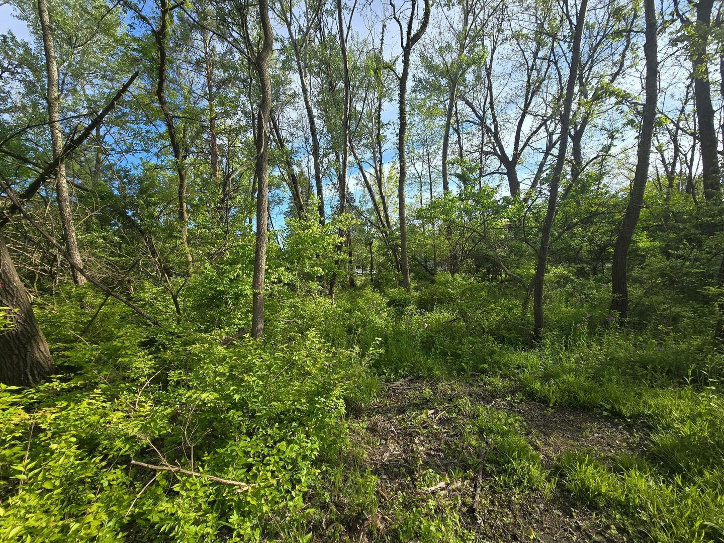 main property photo 7