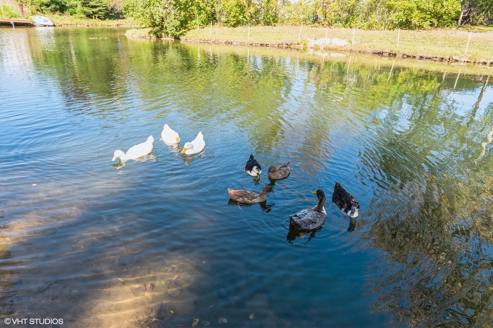 main property photo 51