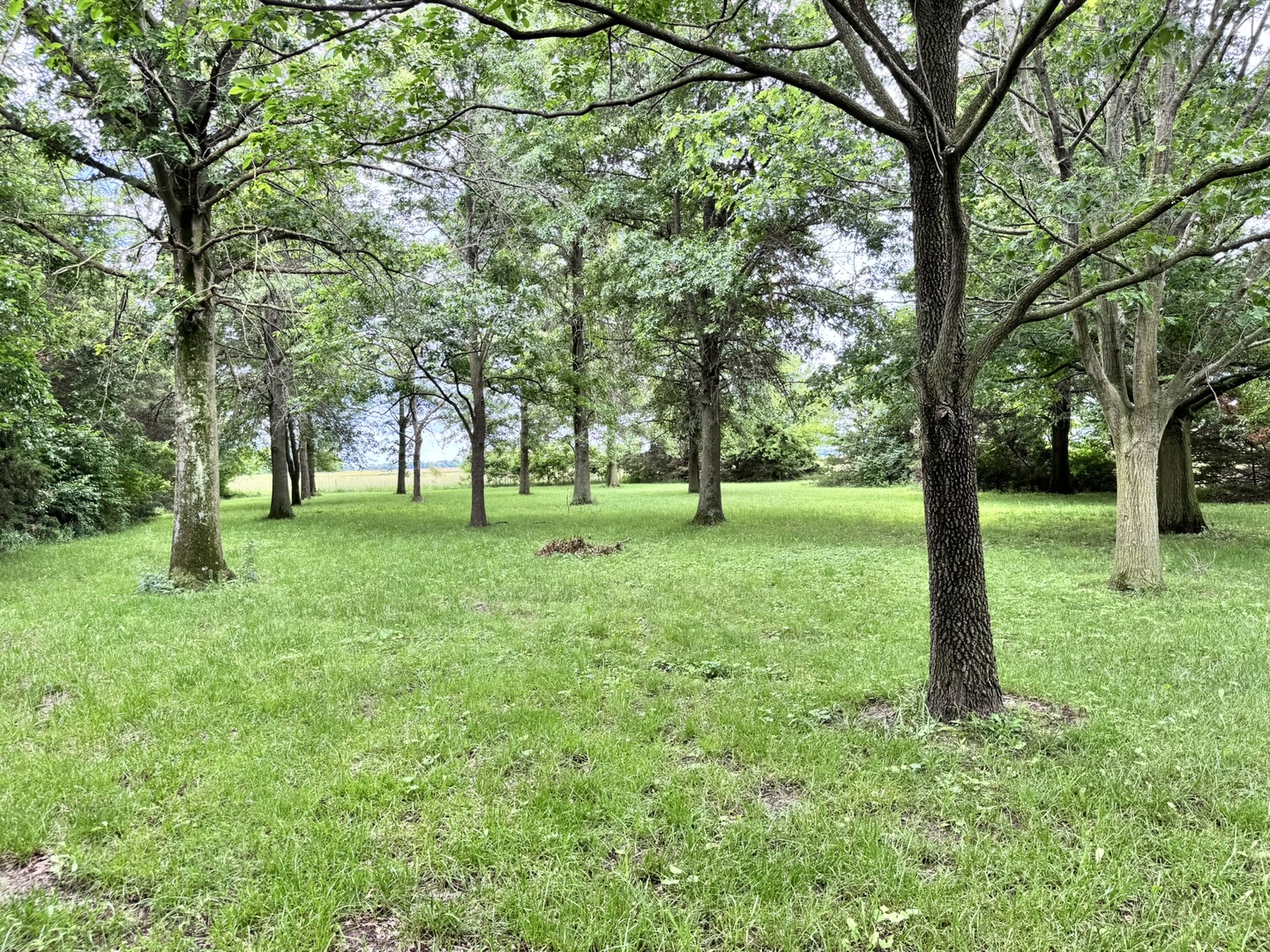main property photo 59