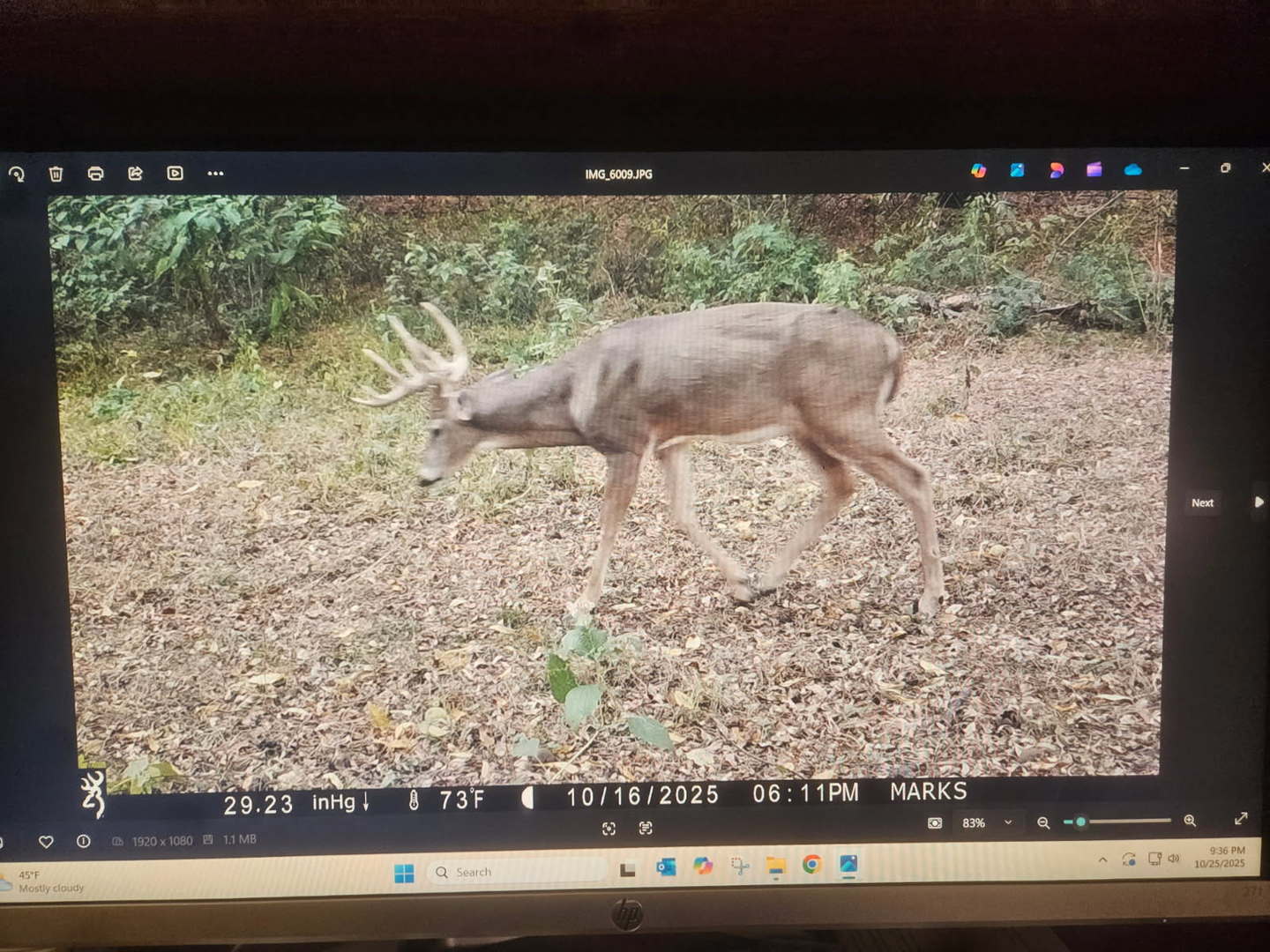 main property photo 2