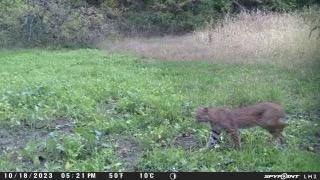 main property photo 6