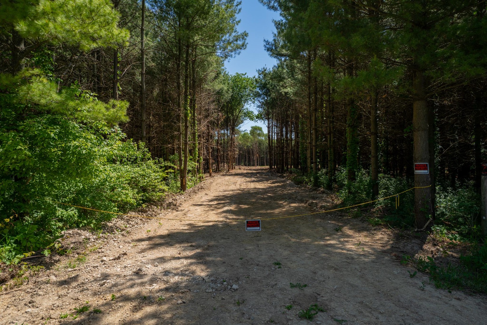 main property photo 10