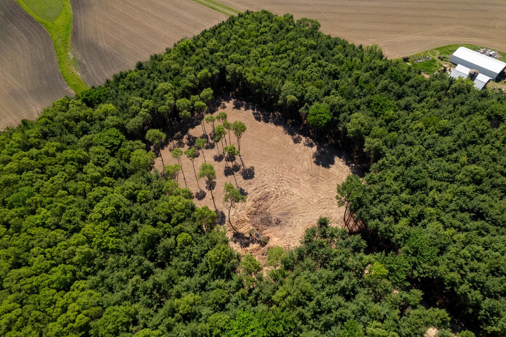 main property photo 3