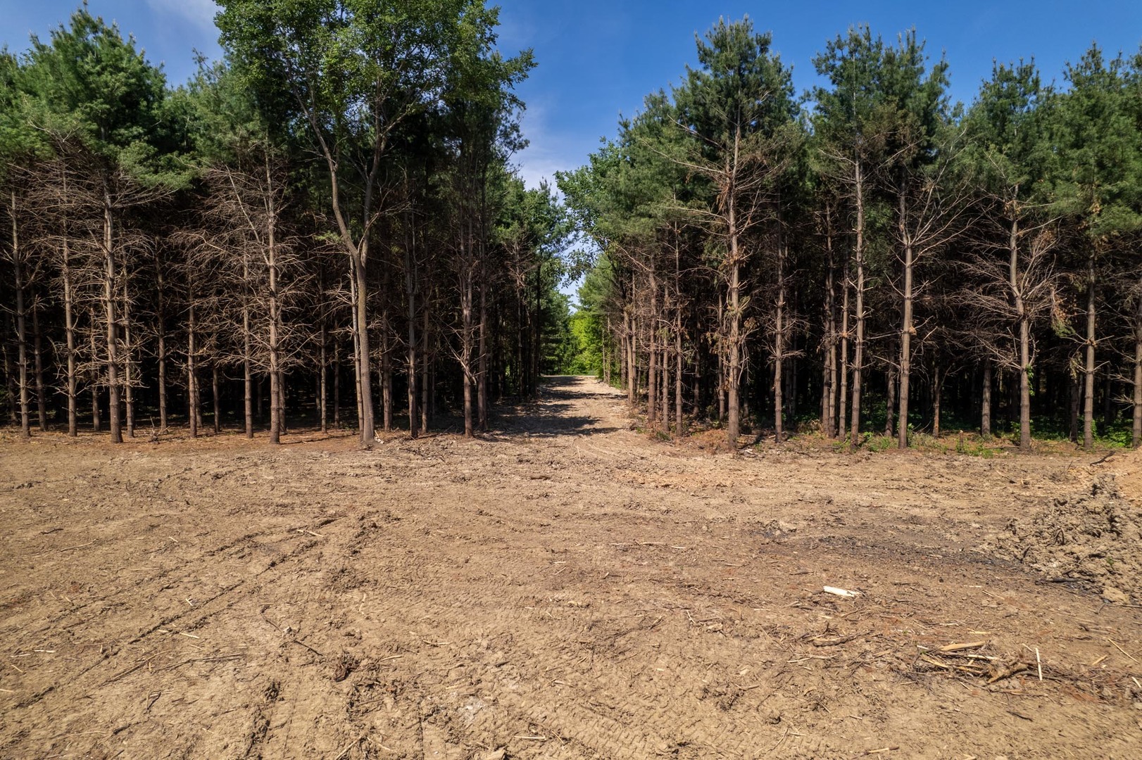 main property photo 9