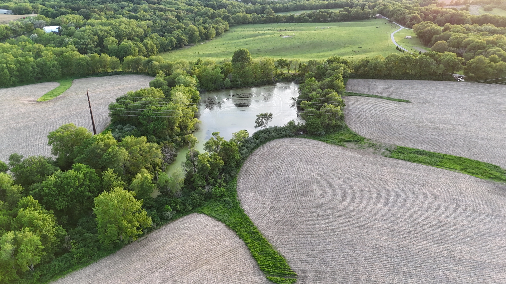 main property photo 19