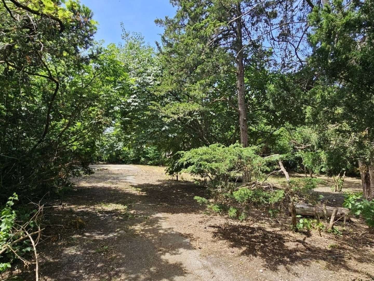 main property photo 11