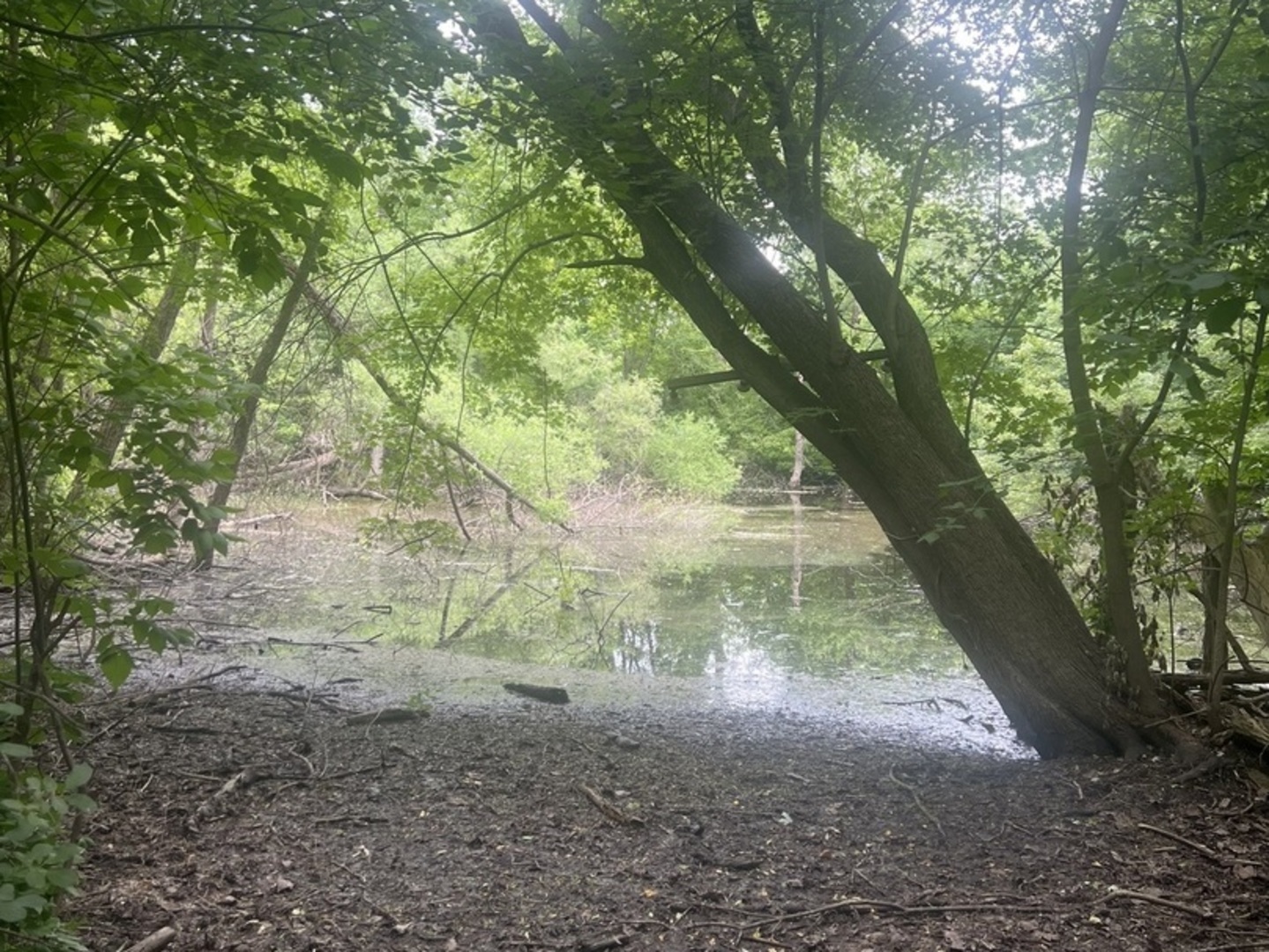 main property photo 4