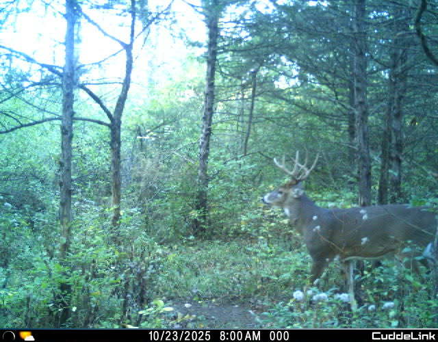 main property photo 36