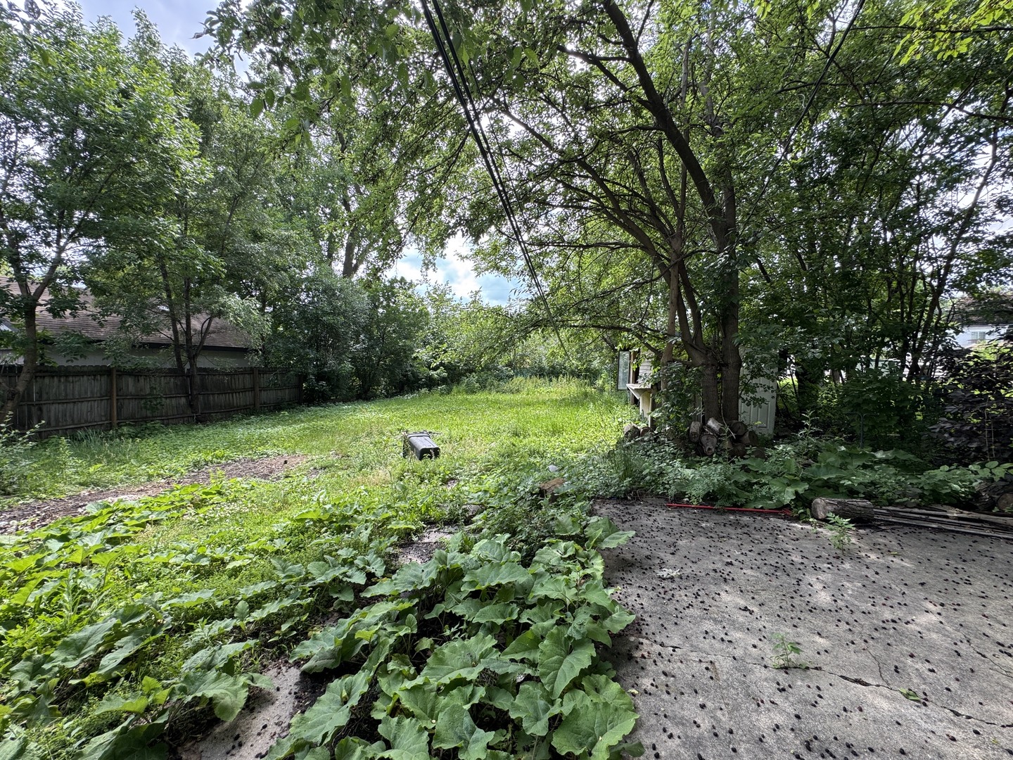 main property photo 10