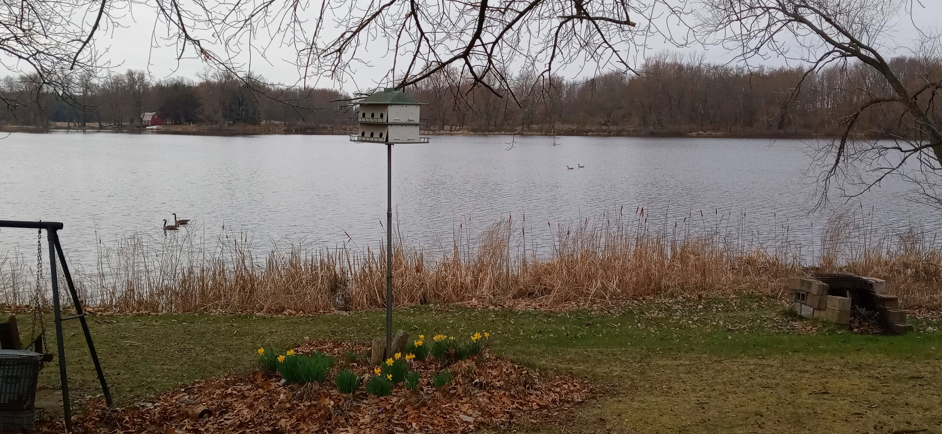 main property photo 39