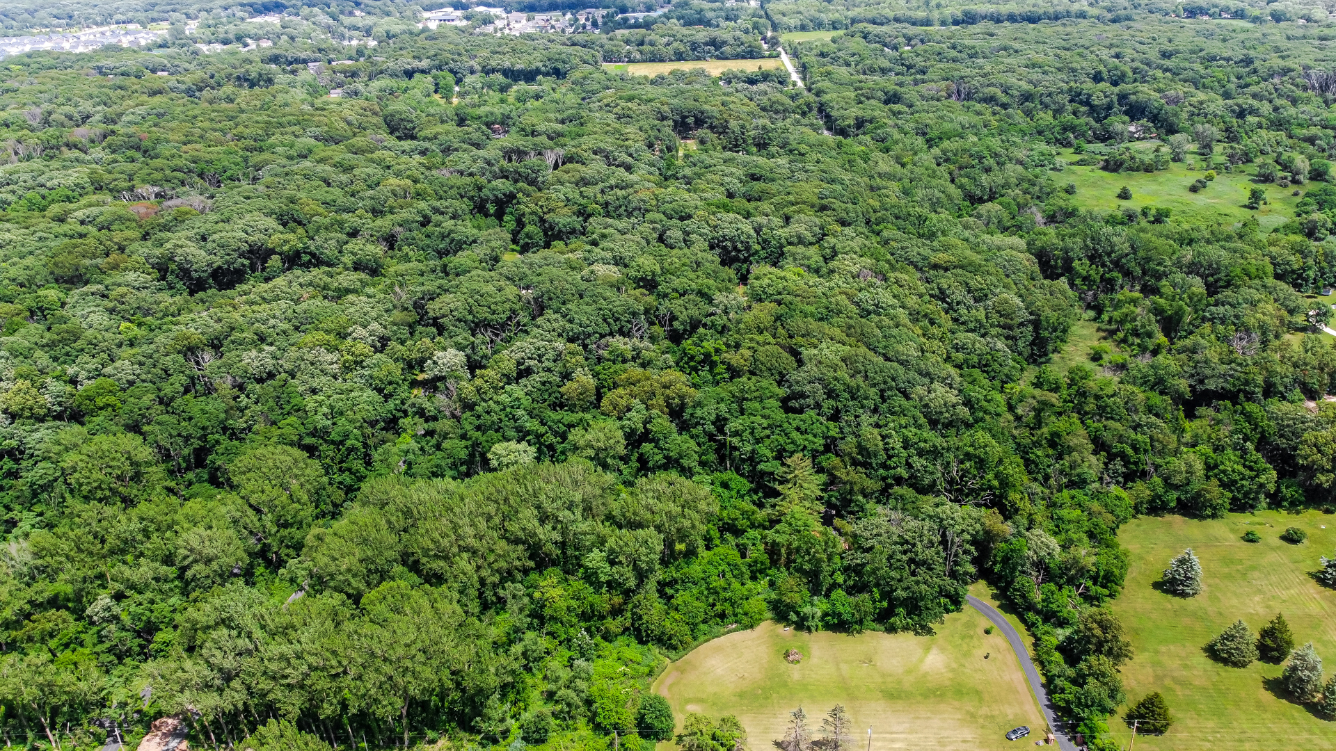 main property photo 53