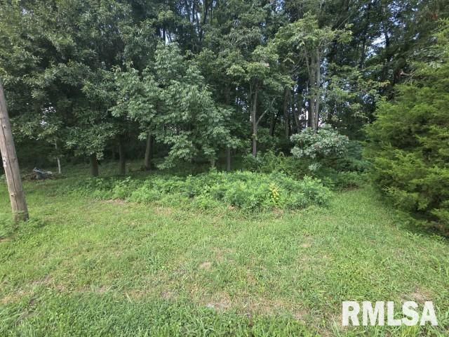 main property photo 10