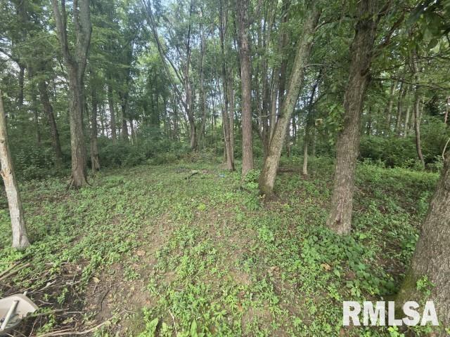 main property photo 11