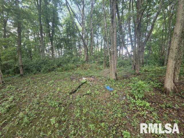 main property photo 12