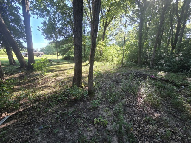 main property photo 6