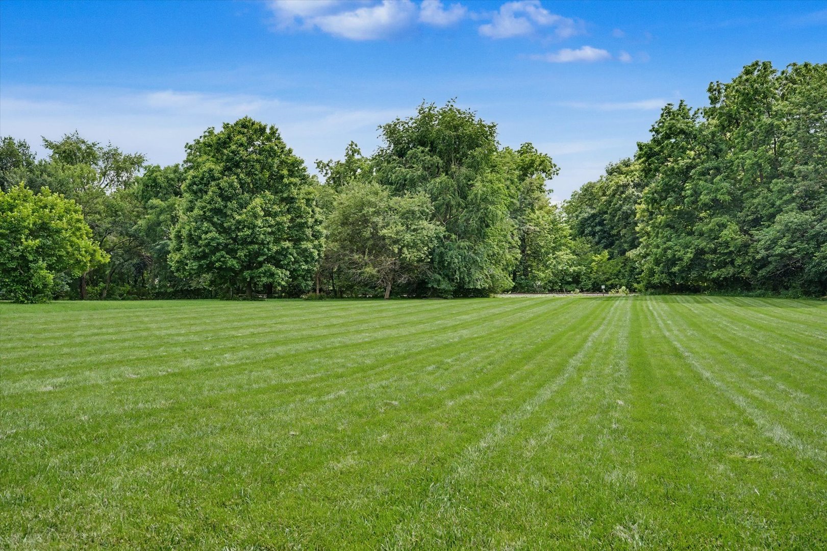 main property photo 97