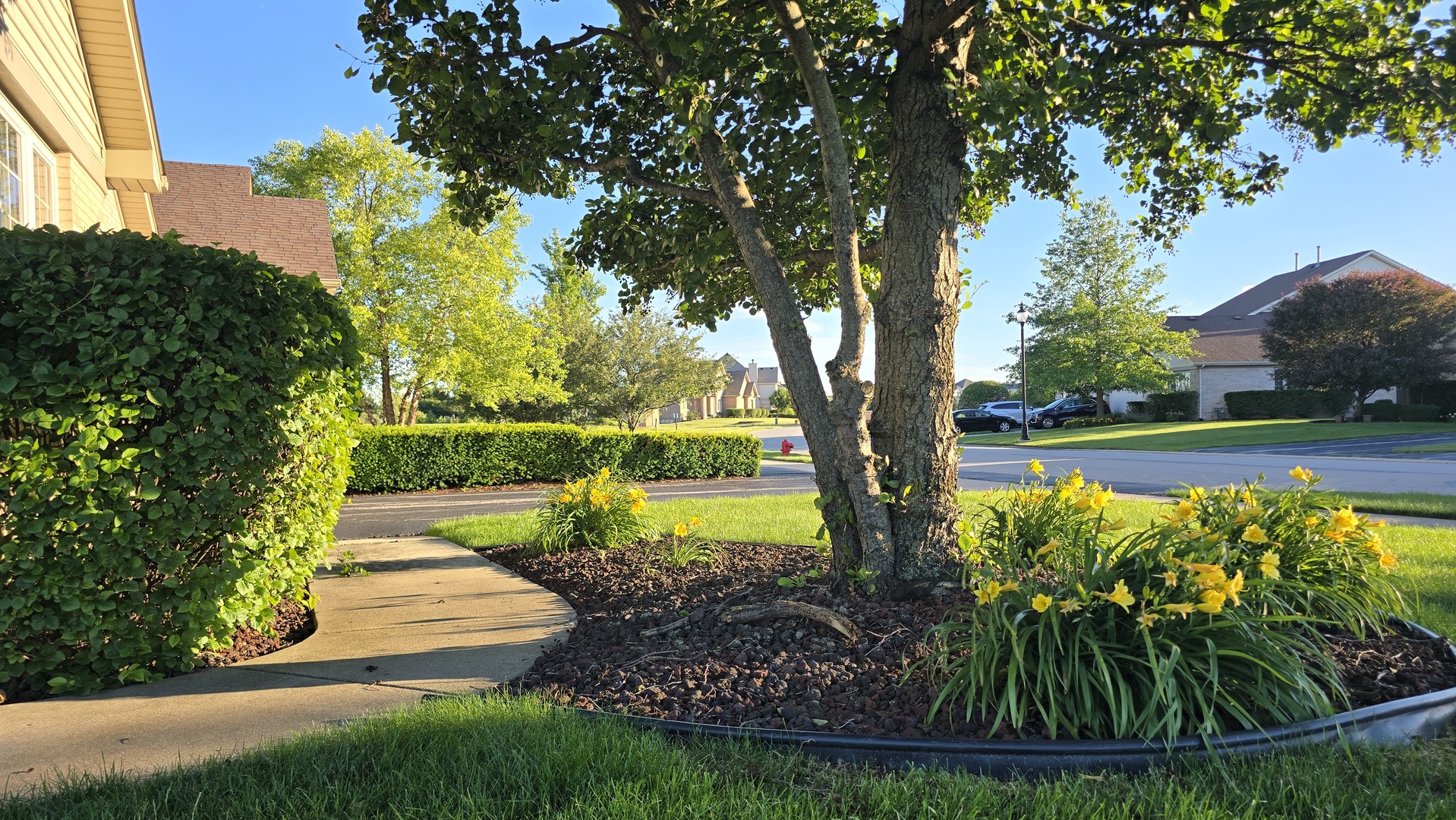 main property photo 11