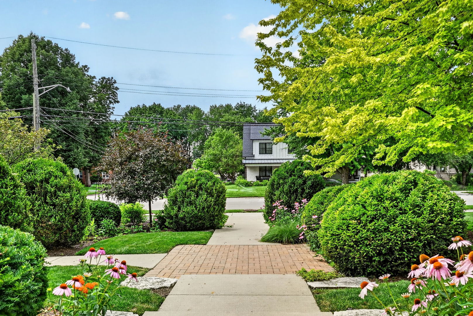 main property photo 71