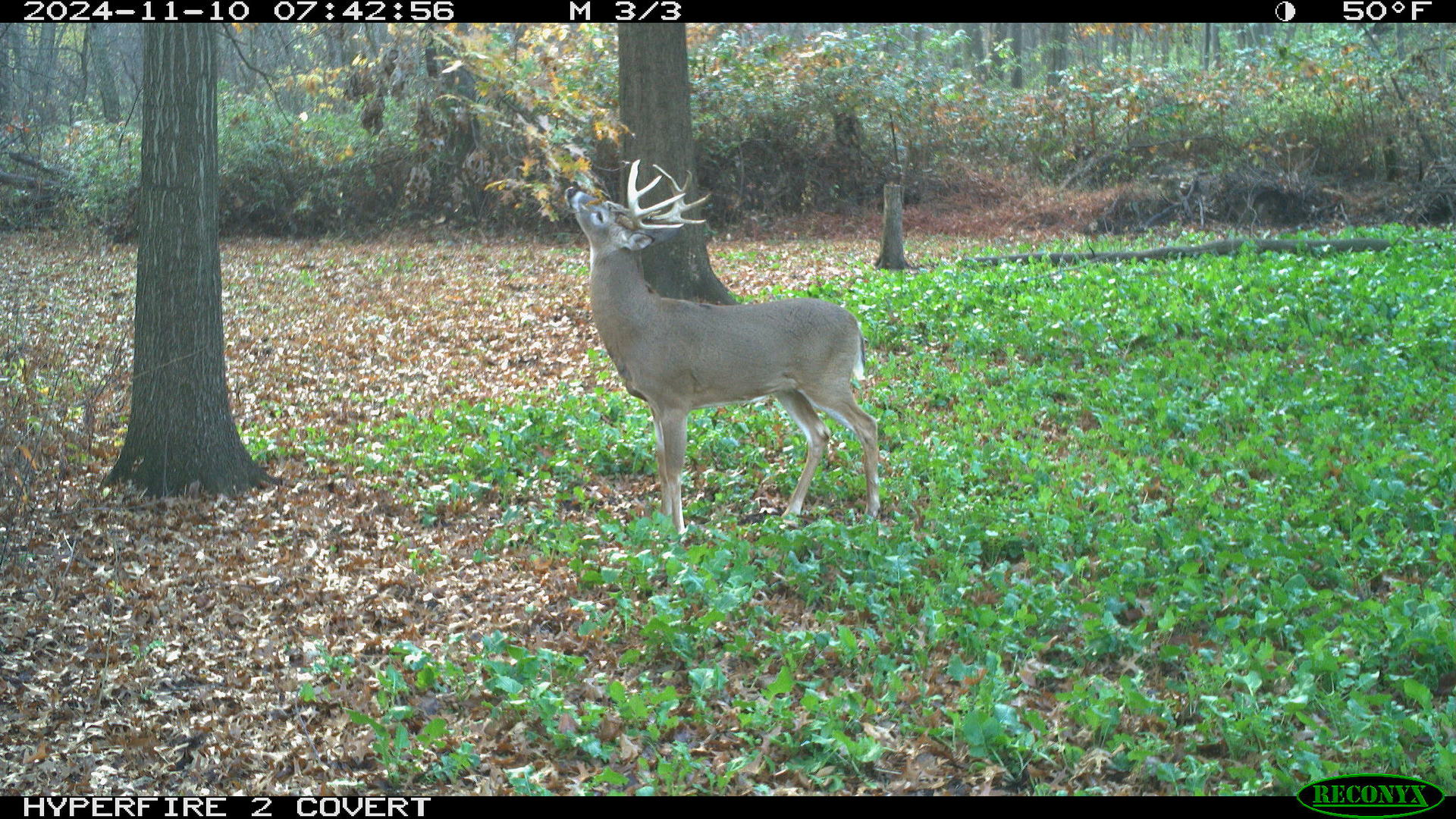 main property photo 31
