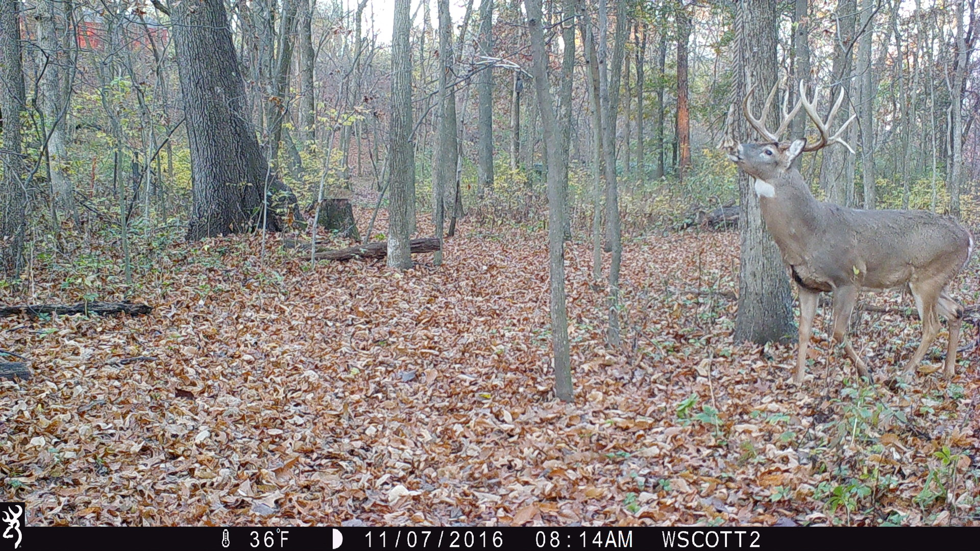 main property photo 35