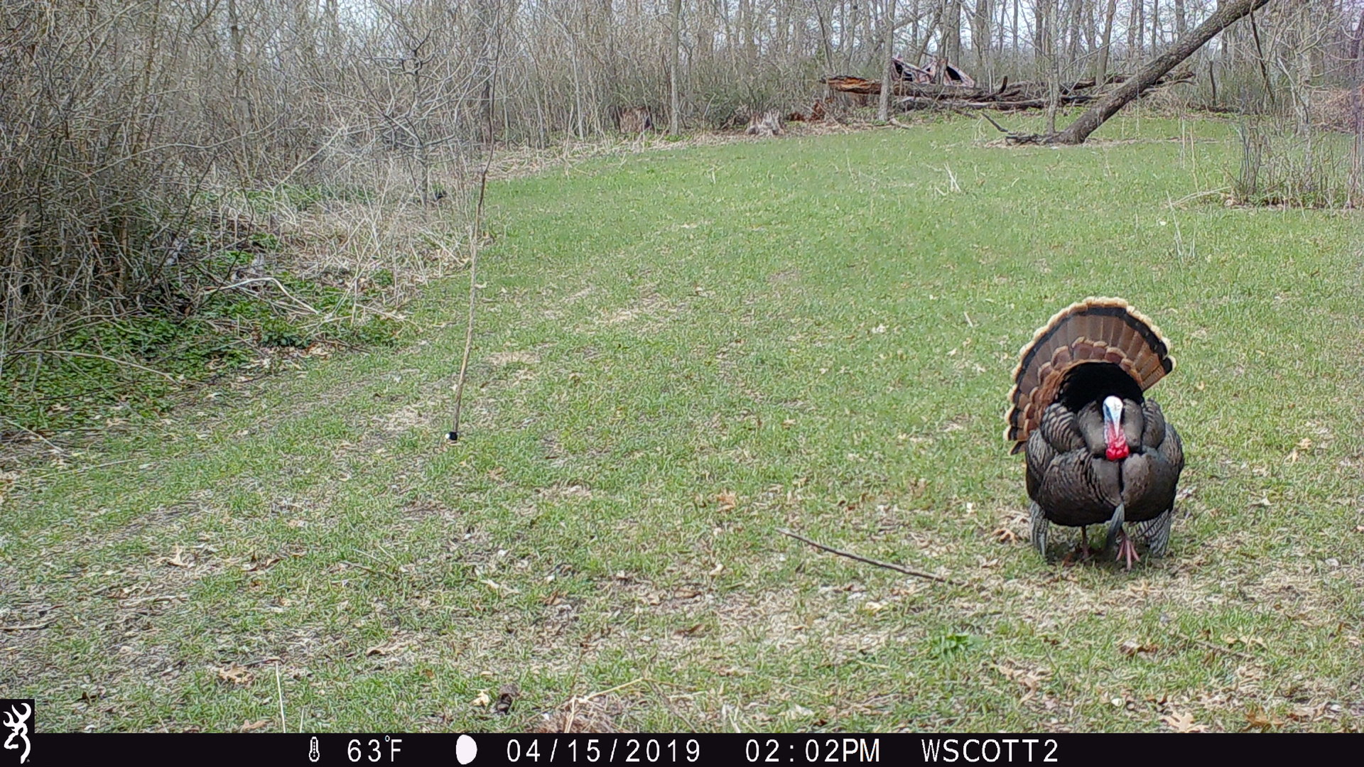 main property photo 36