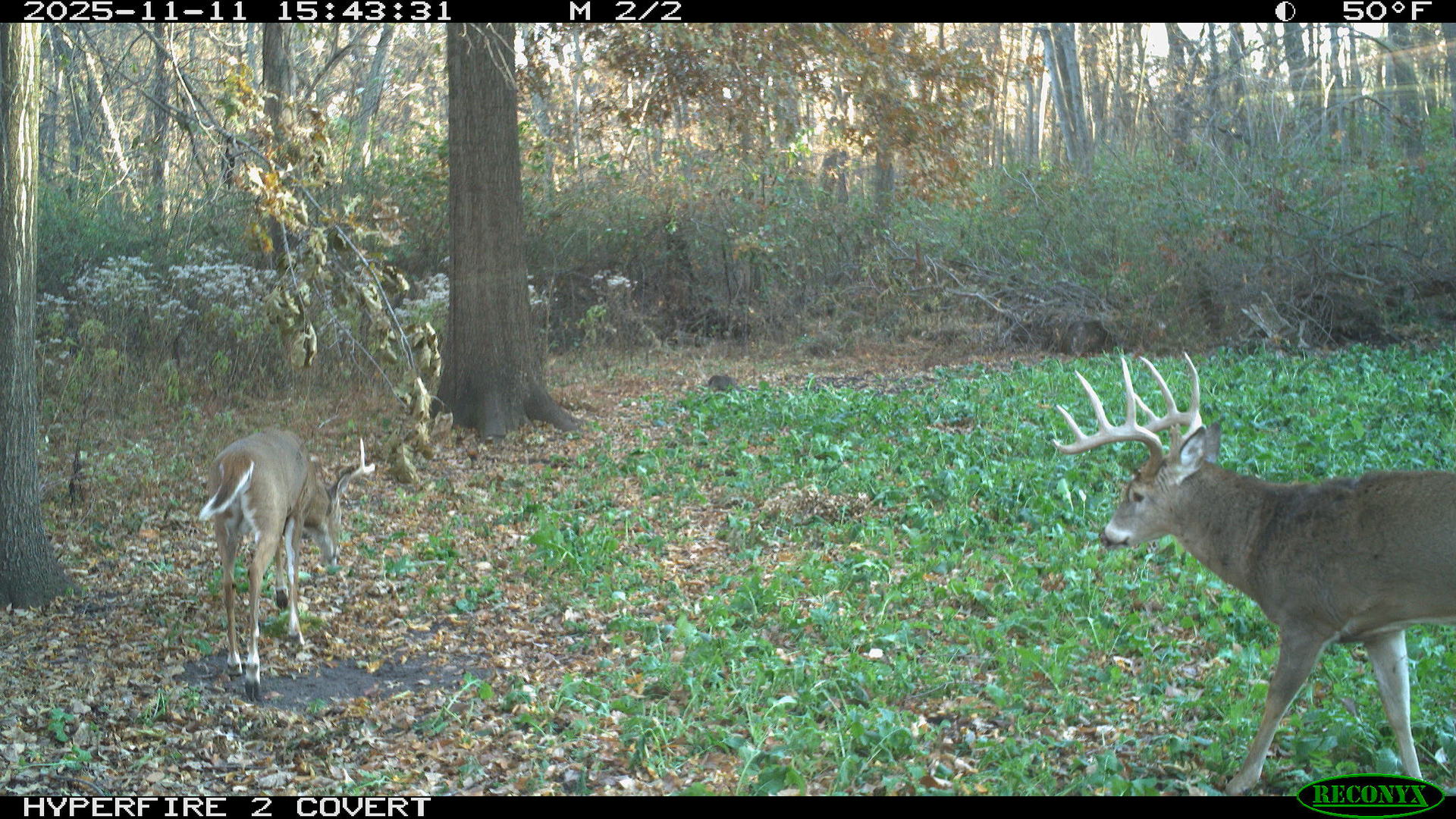 main property photo 39