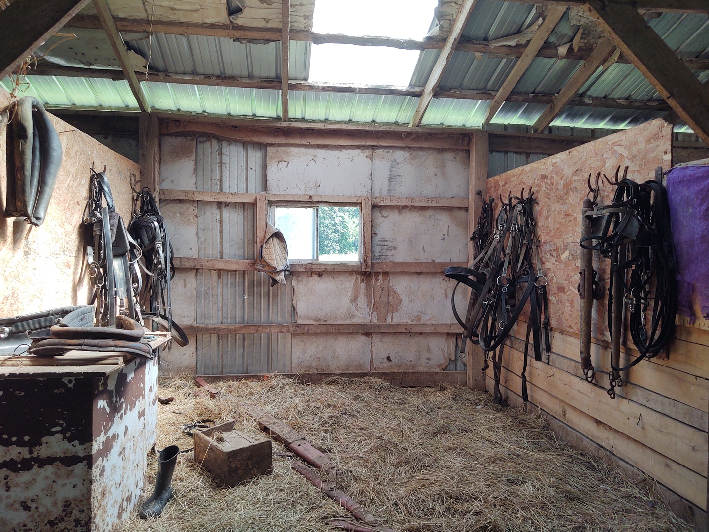 main property photo 37