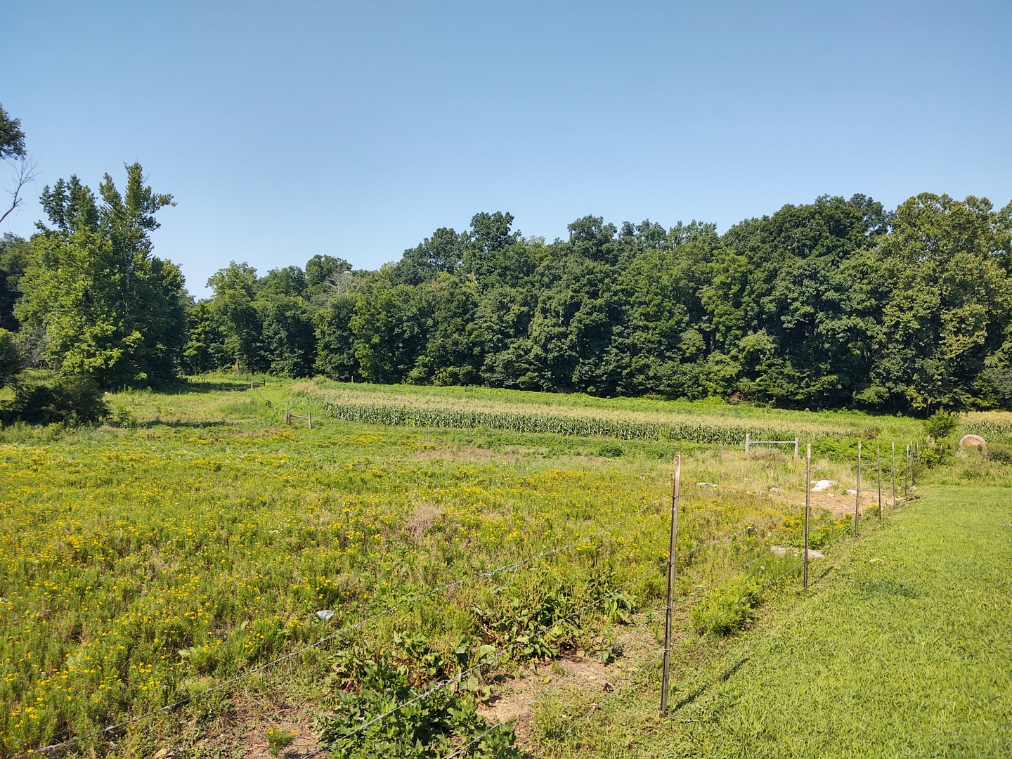 main property photo 7