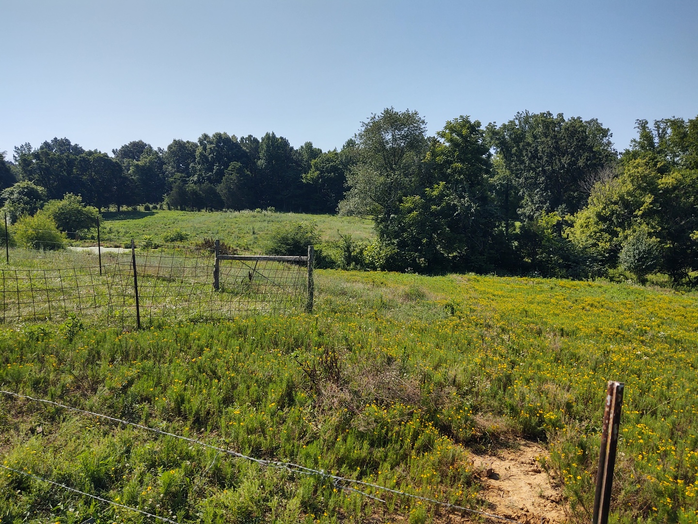 main property photo 8
