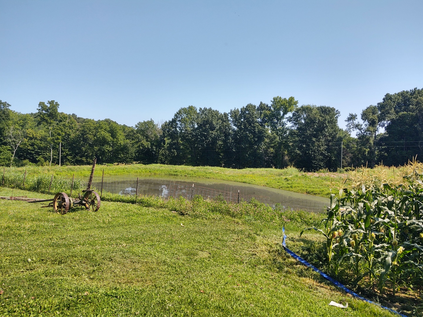 main property photo 9