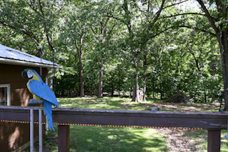 property viewer photo 21