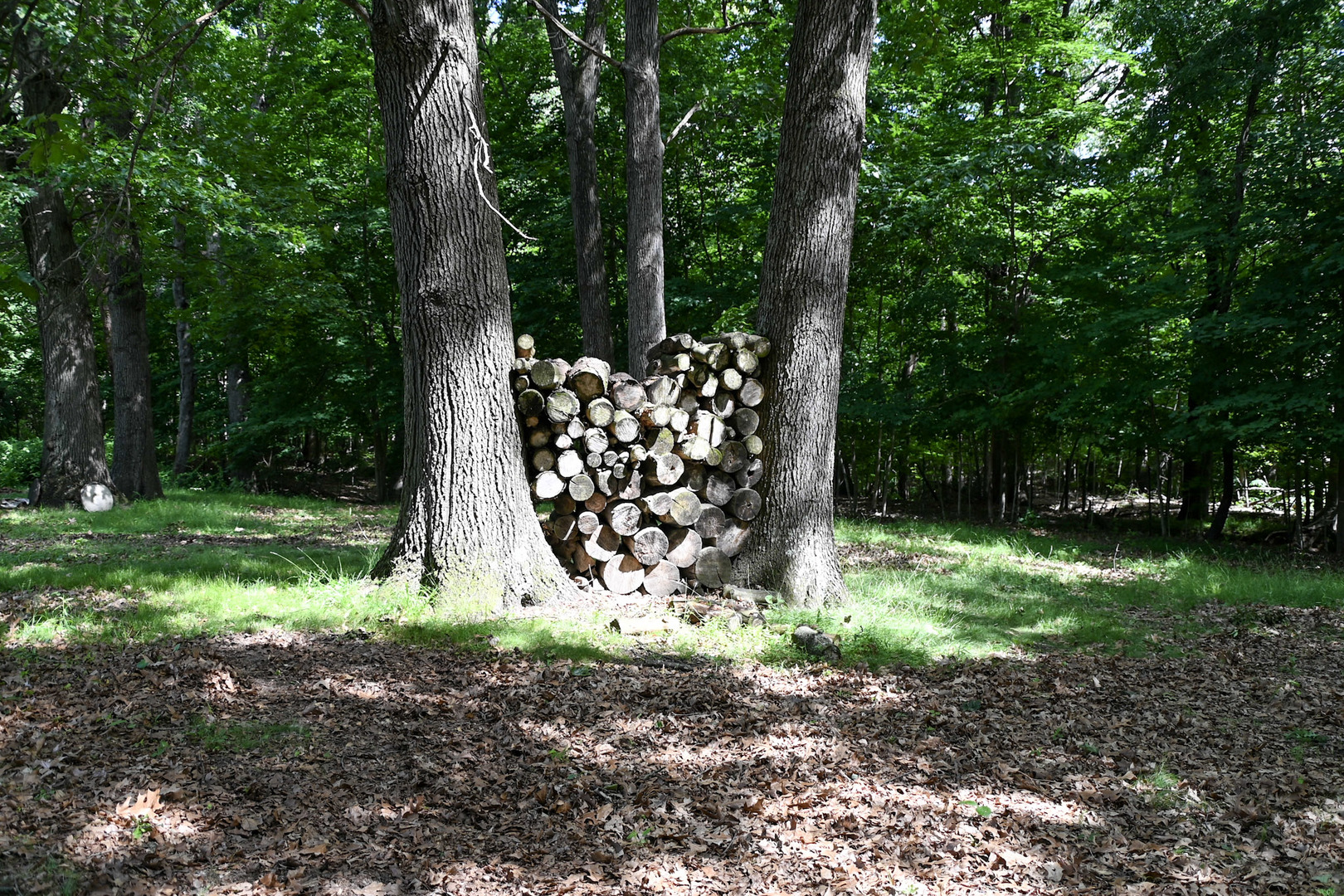 property viewer photo 31