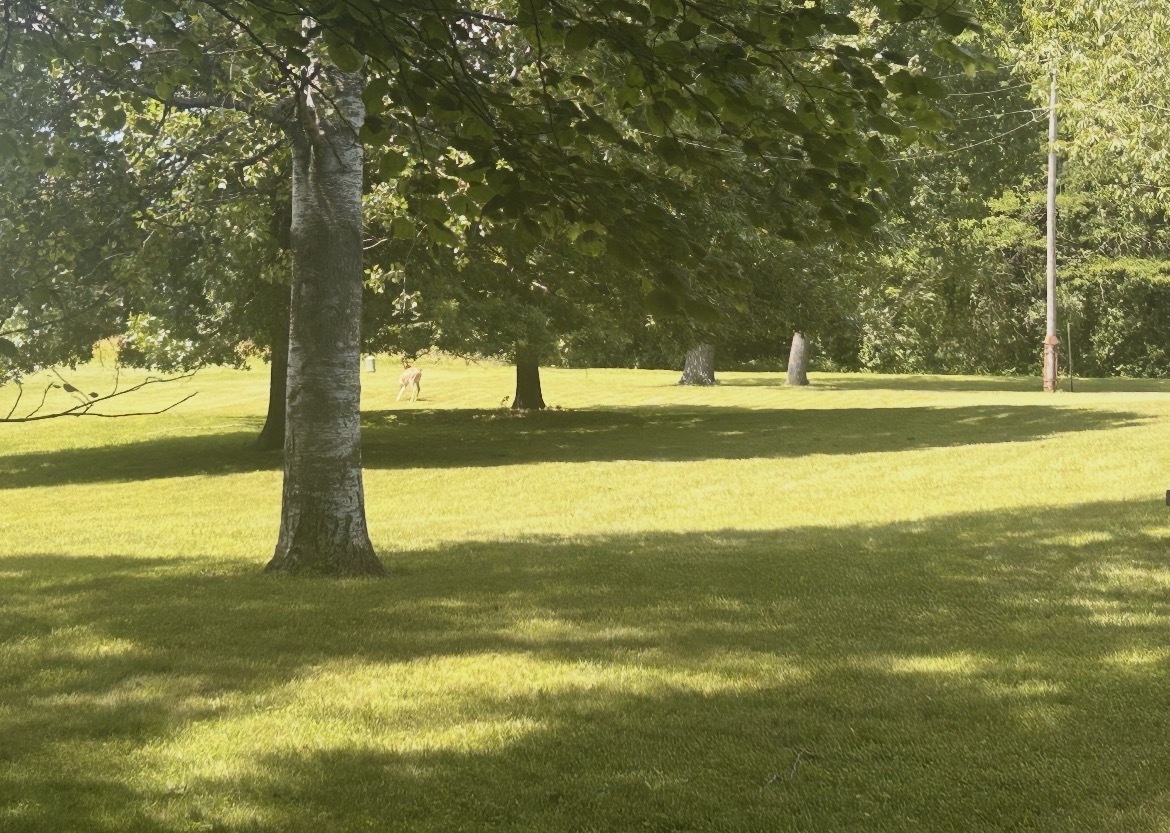 property viewer photo 7