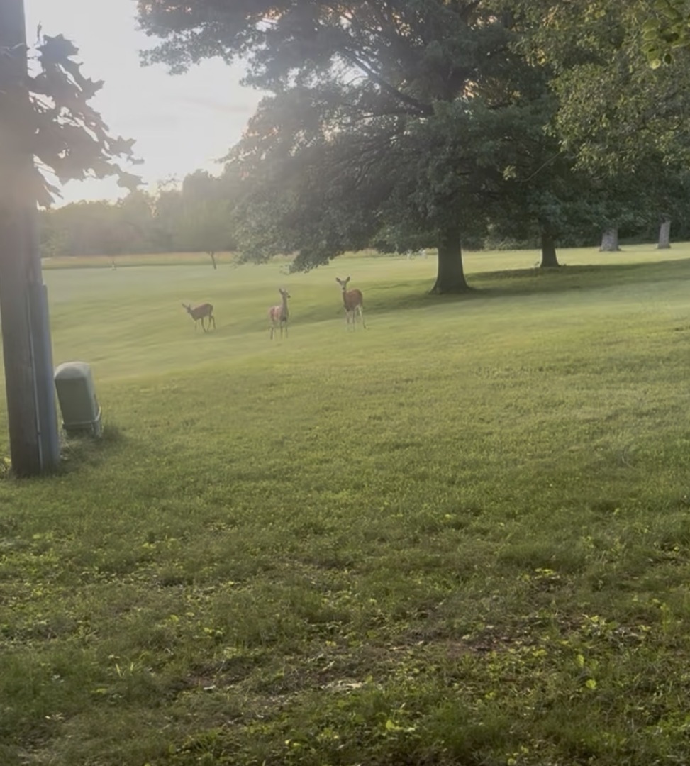 property viewer photo 72