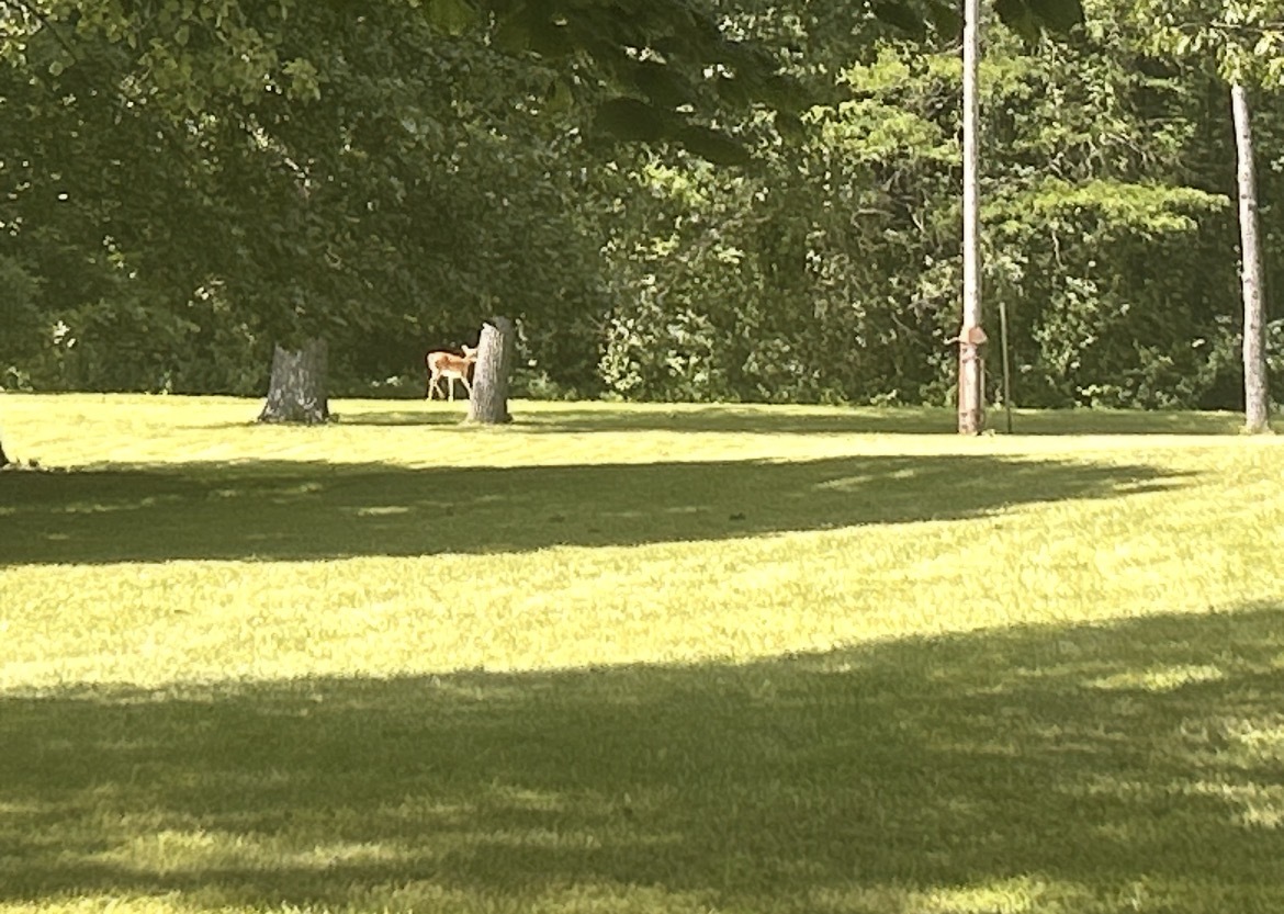 property viewer photo 8