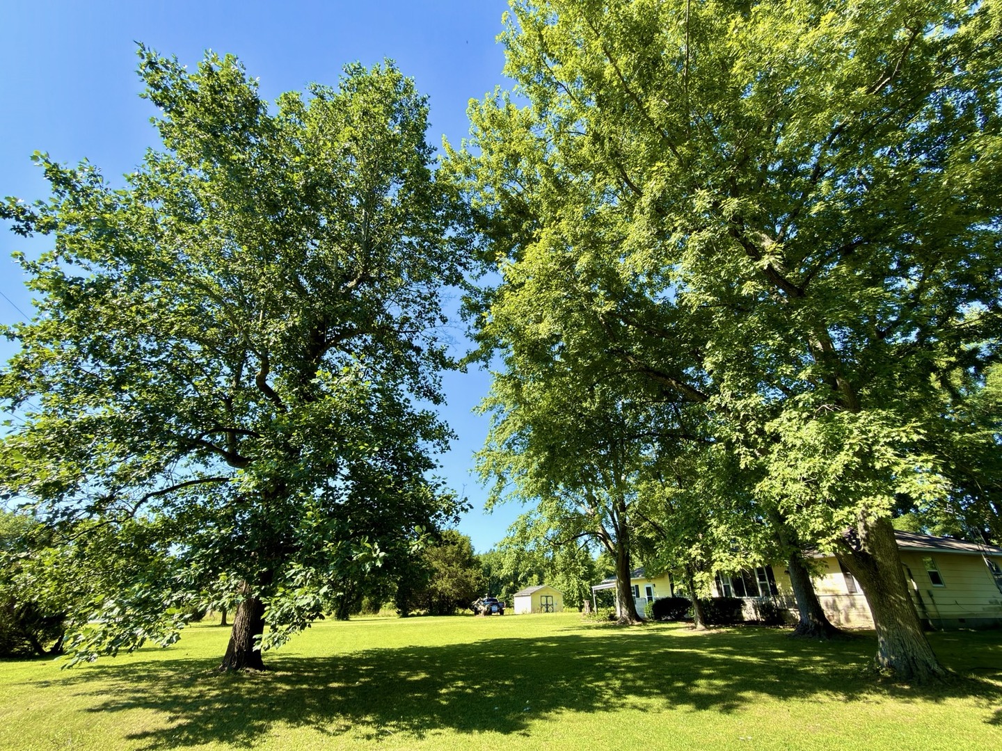 main property photo 39