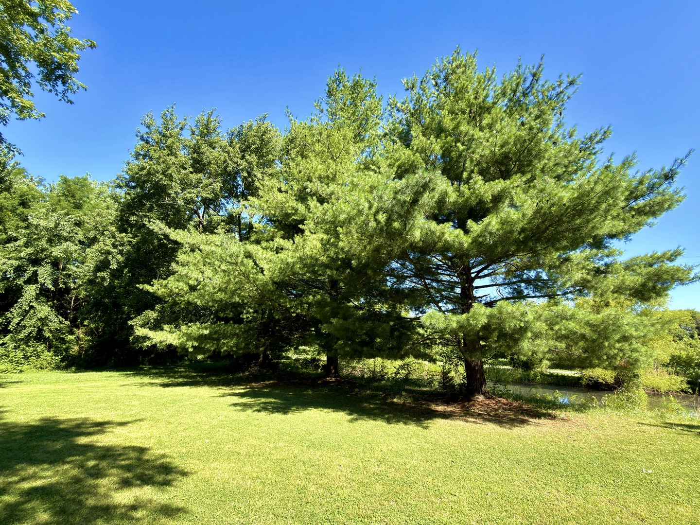main property photo 50