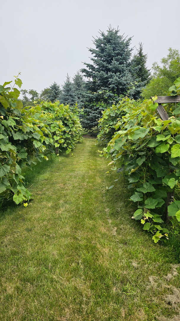 main property photo 92