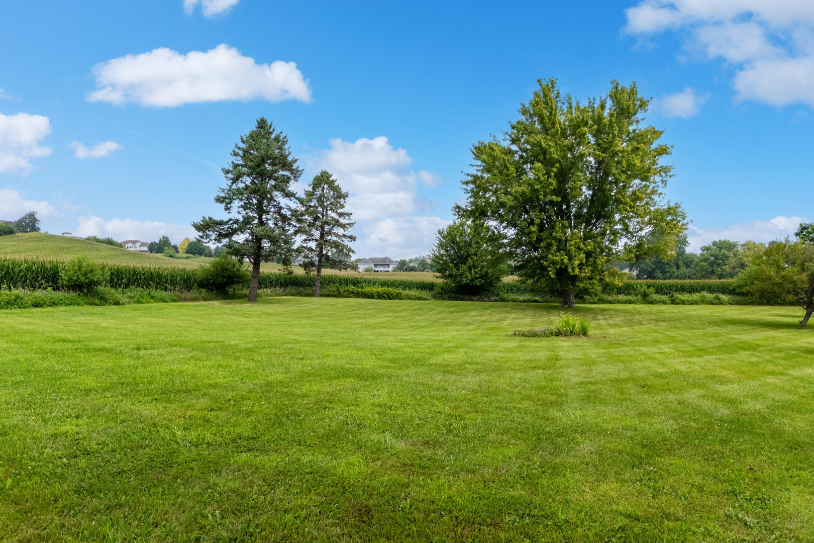 main property photo 62