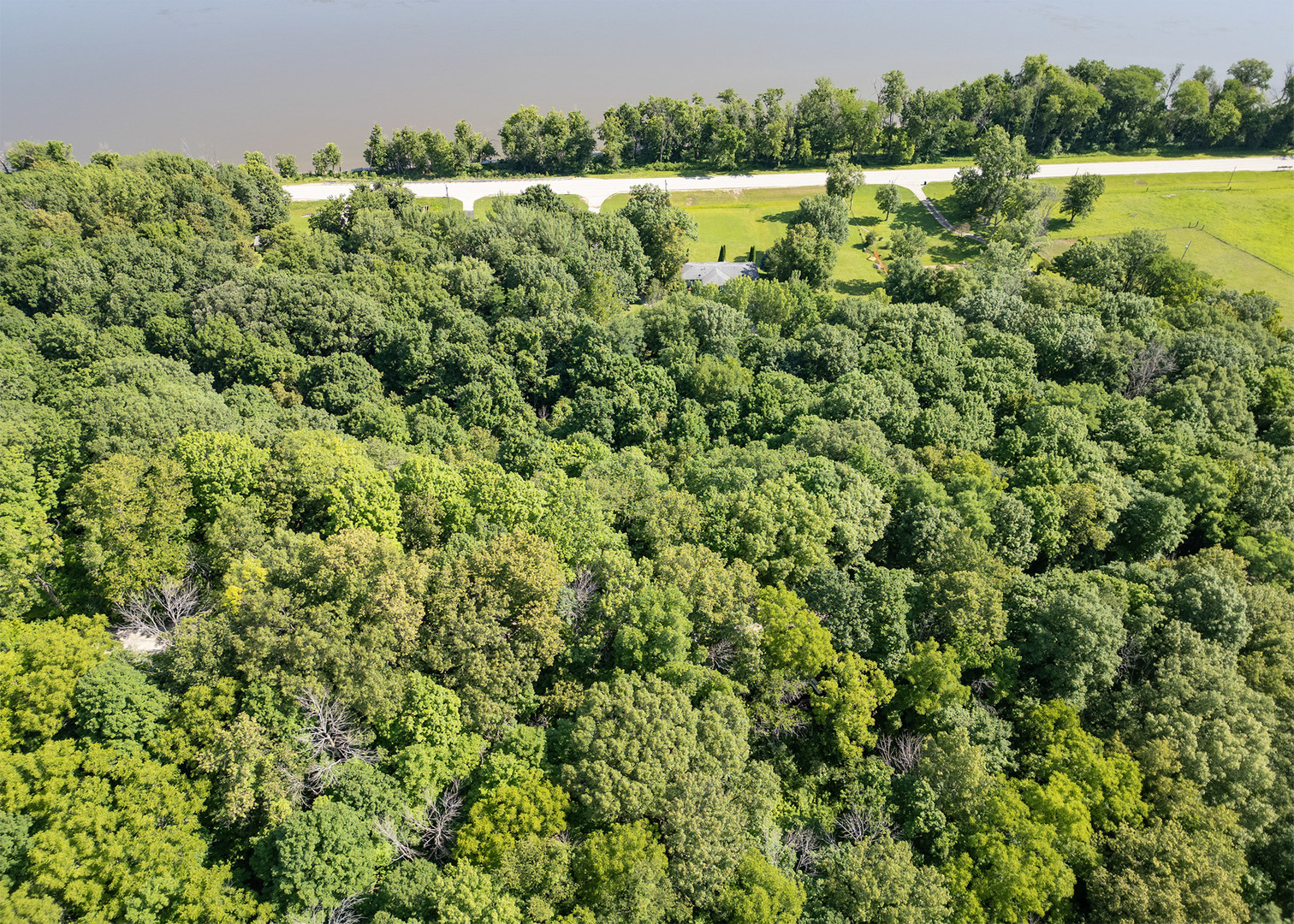 main property photo 6