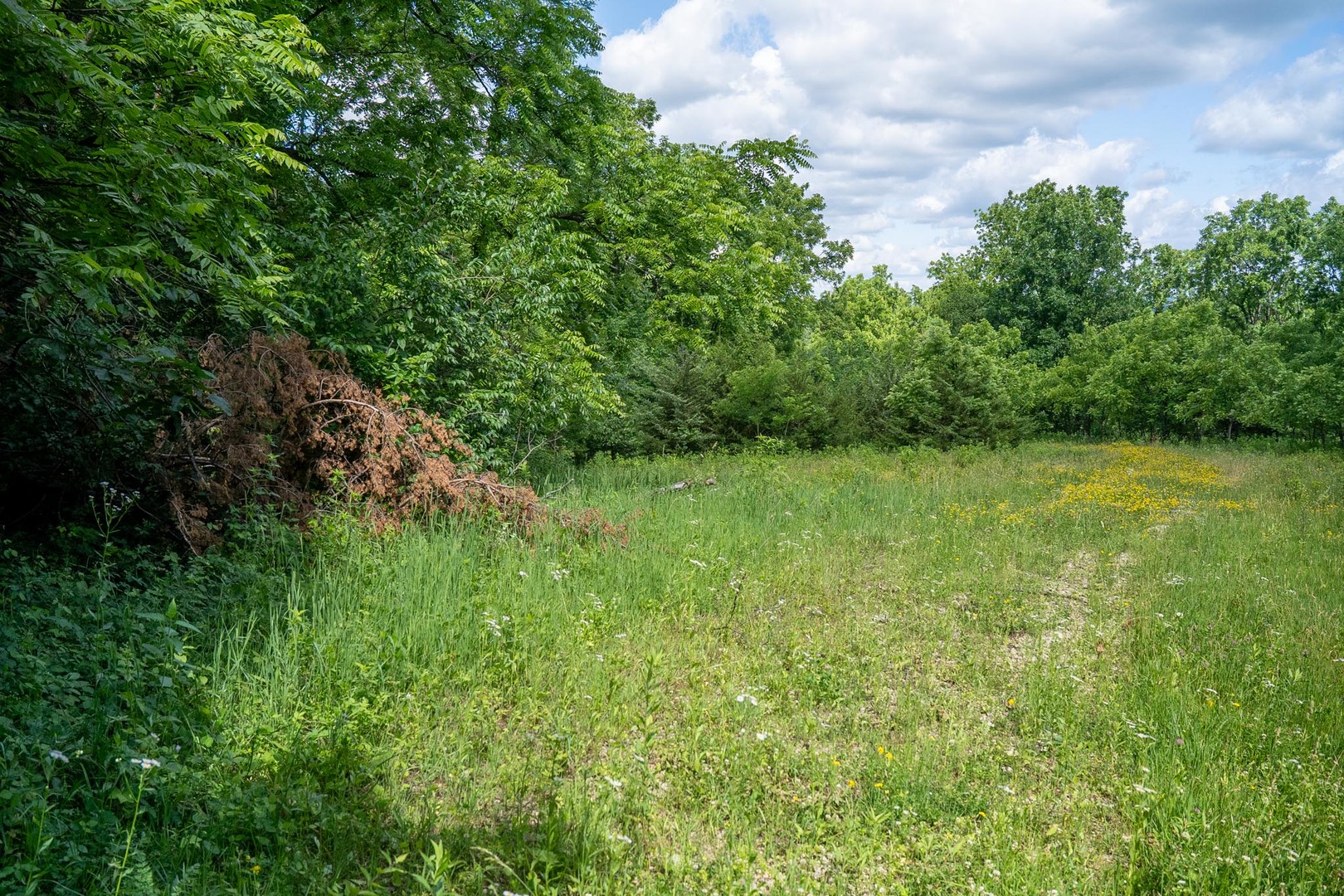 main property photo 11