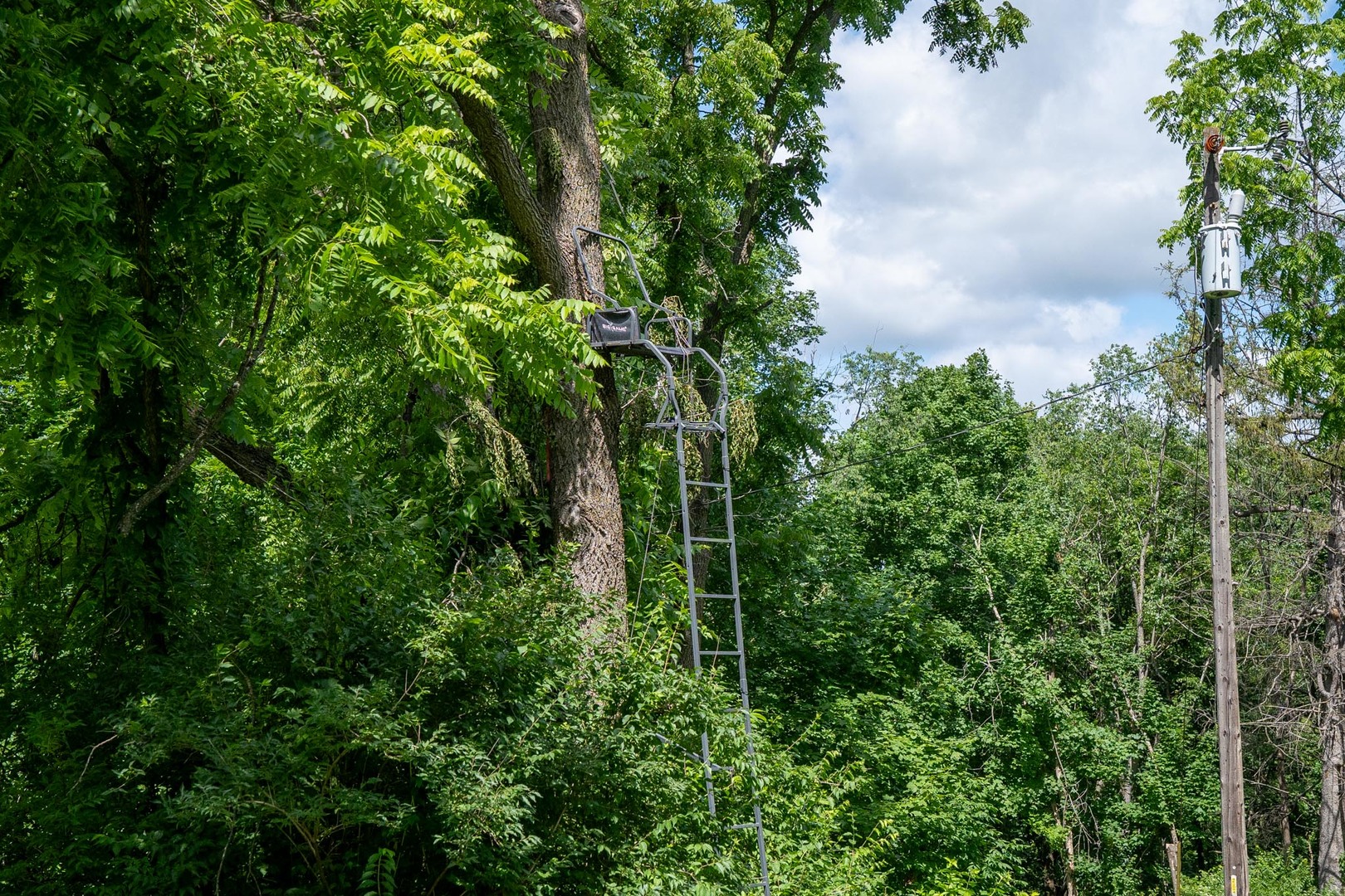 main property photo 16