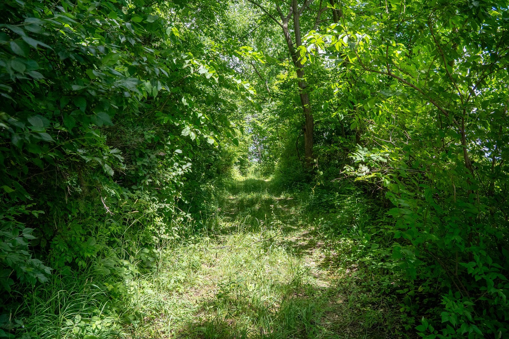 main property photo 25
