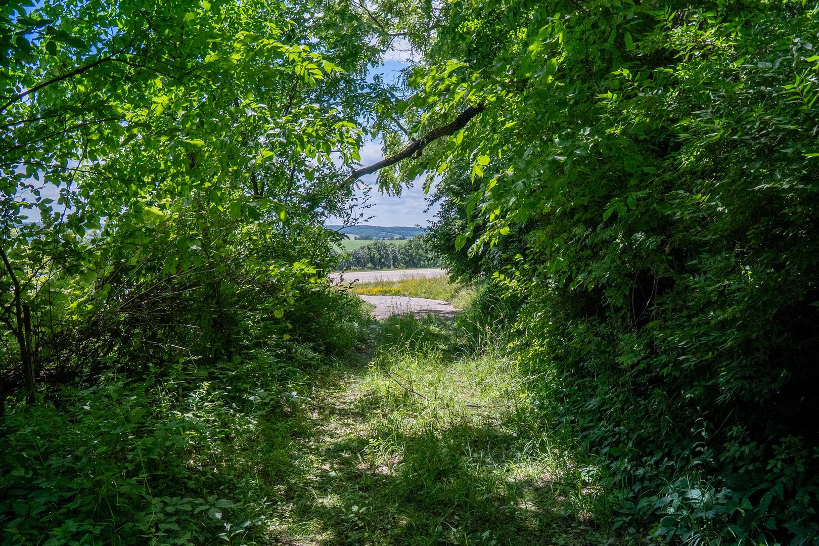 main property photo 27