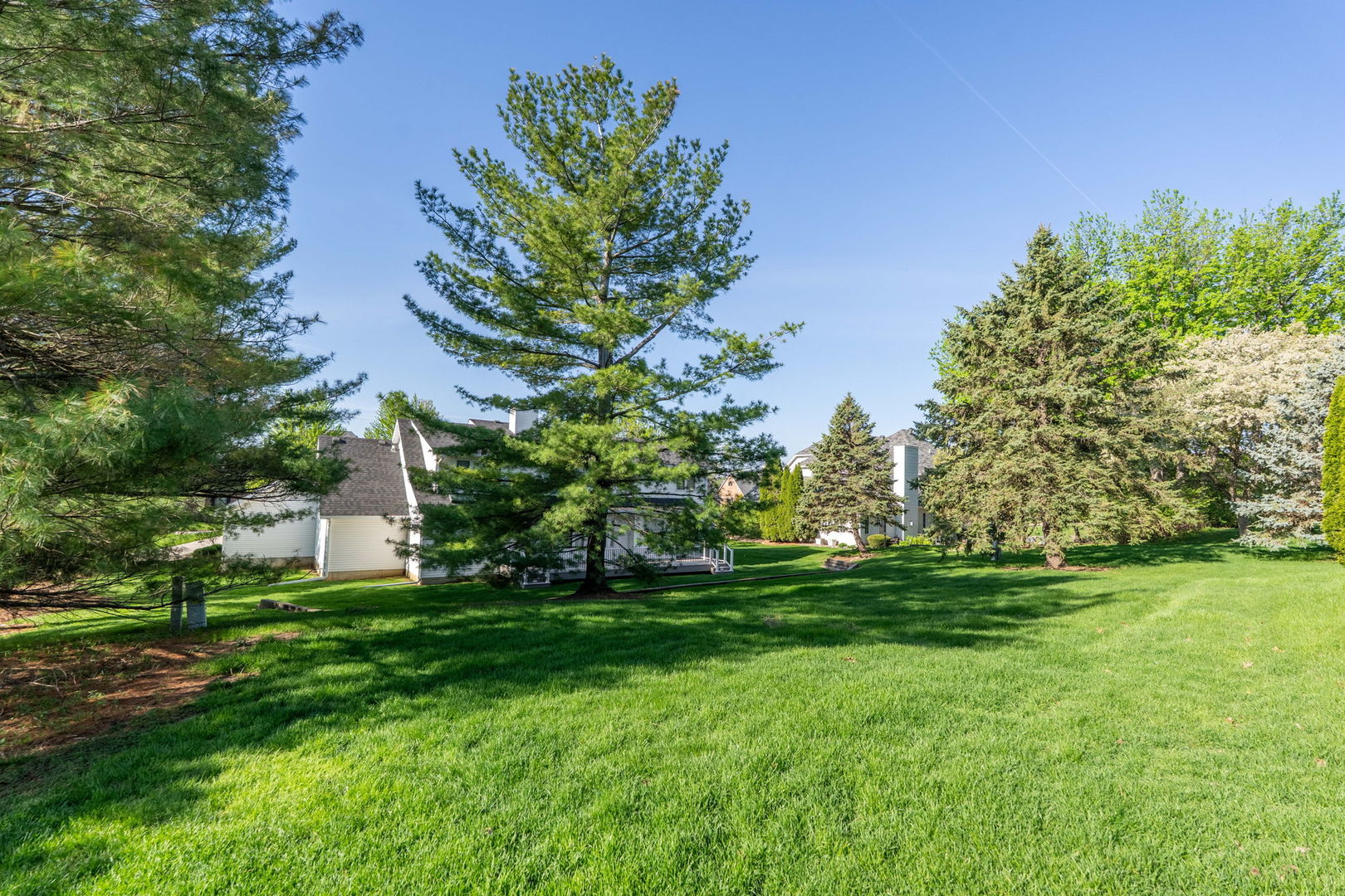 main property photo 57