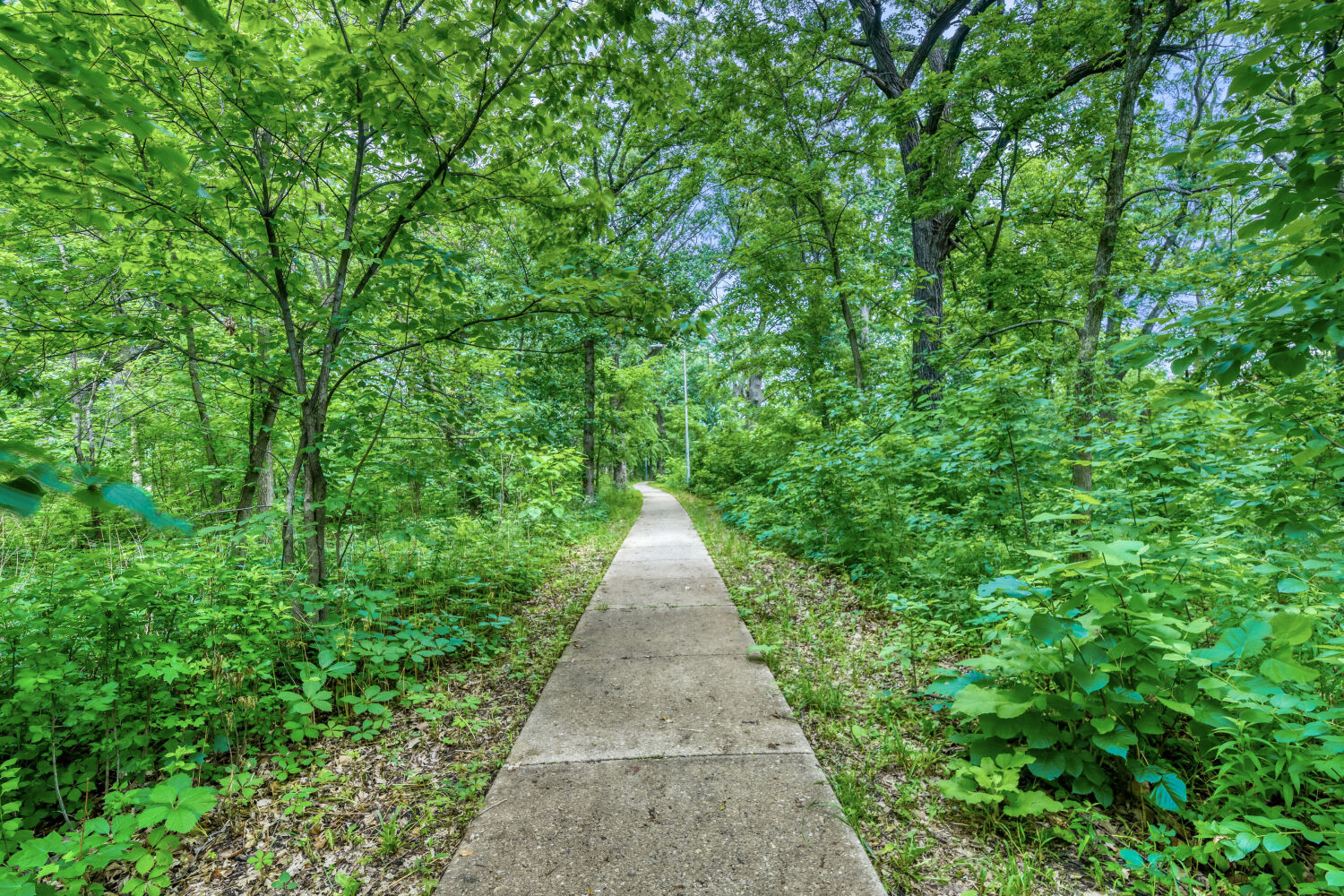 main property photo 17