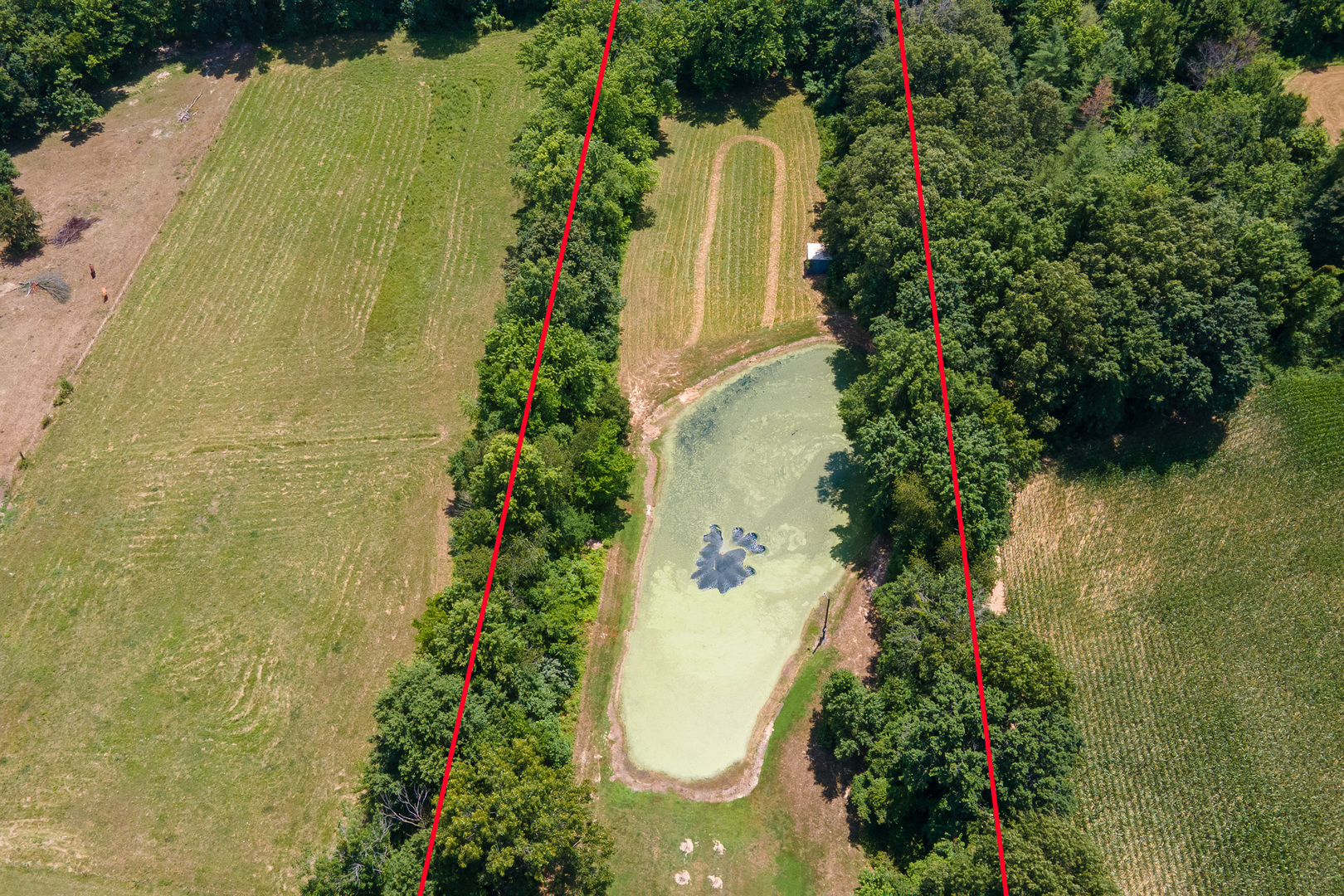 main property photo 30