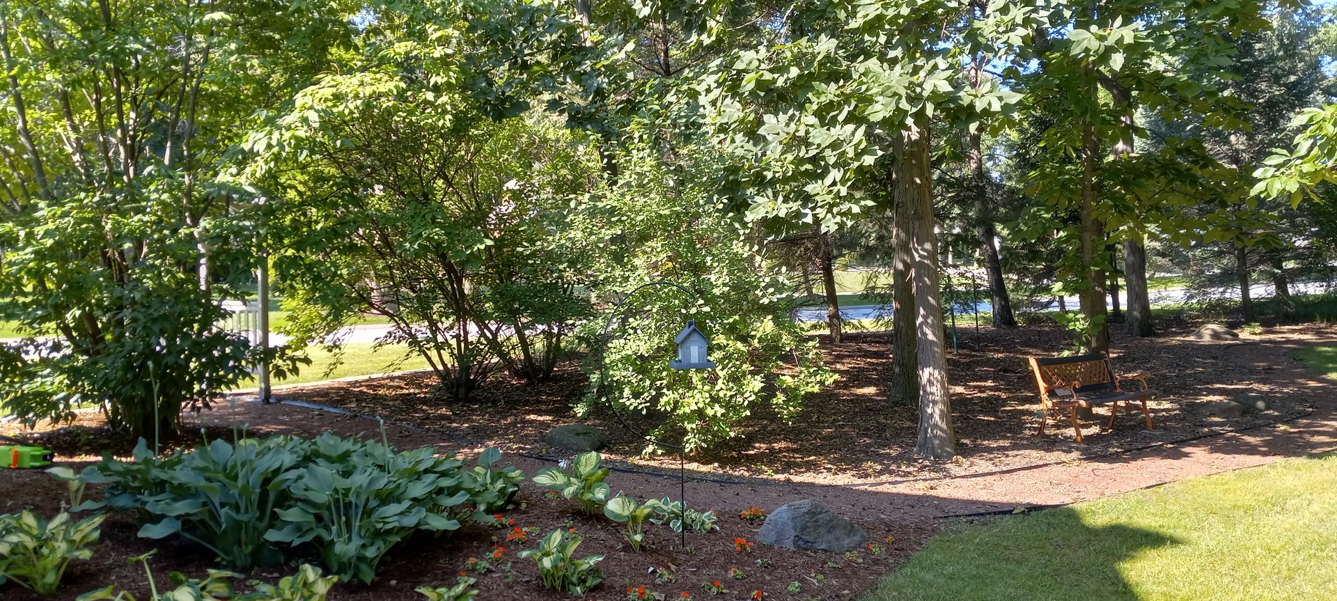 main property photo 42
