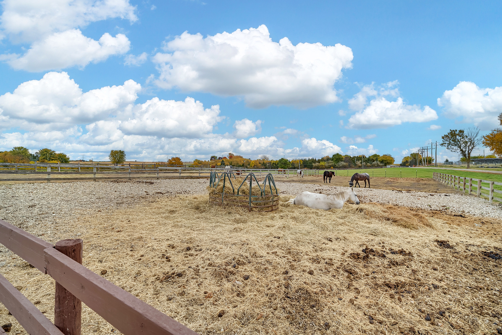 main property photo 62