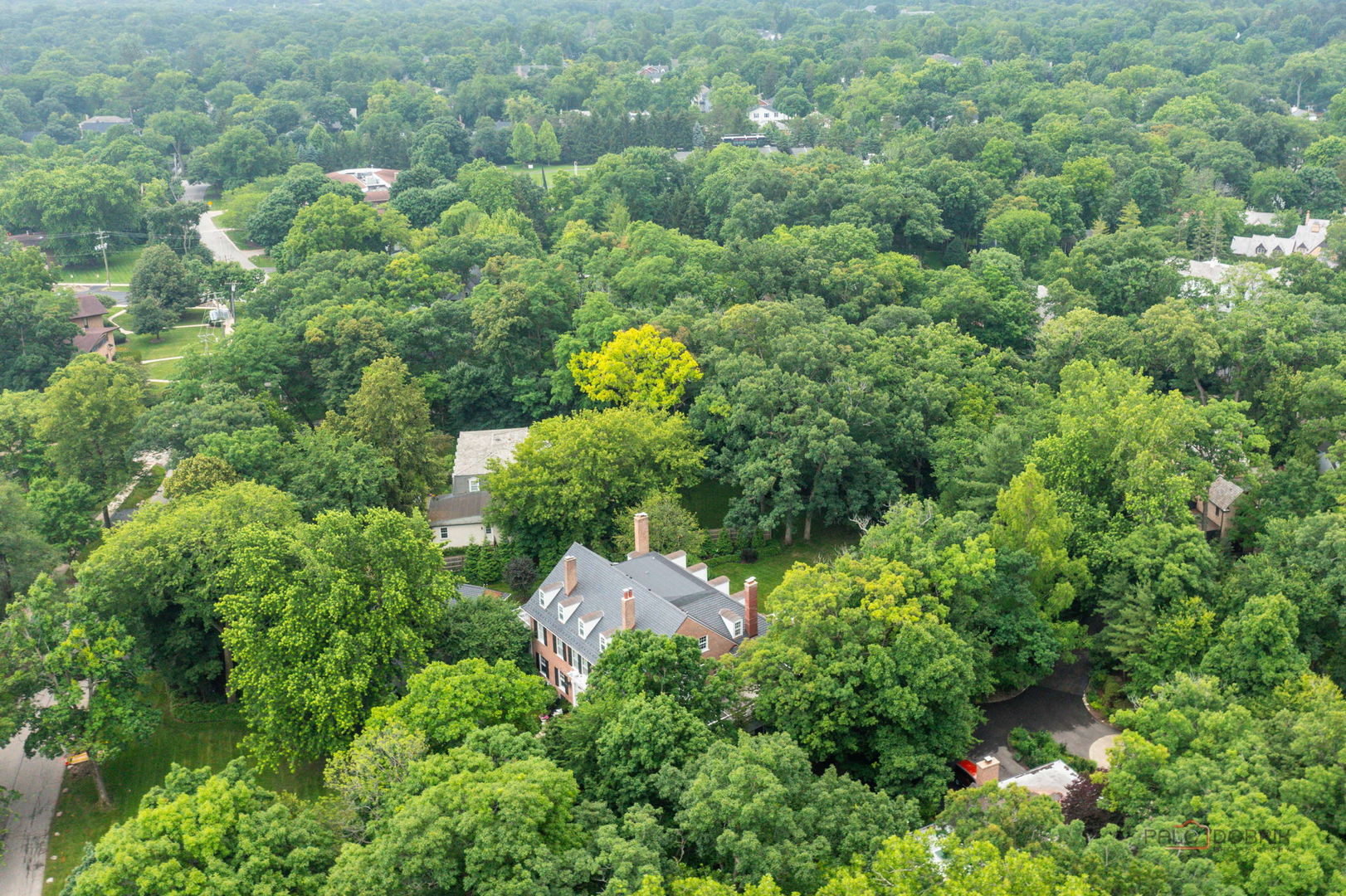 main property photo 54